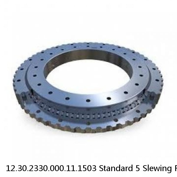 12.30.2330.000.11.1503 Standard 5 Slewing Ring Bearings