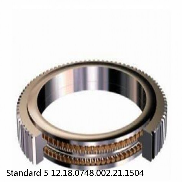 12.18.0748.002.21.1504 Standard 5 Slewing Ring Bearings