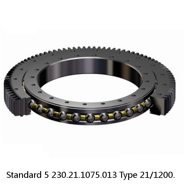 230.21.1075.013 Type 21/1200. Standard 5 Slewing Ring Bearings