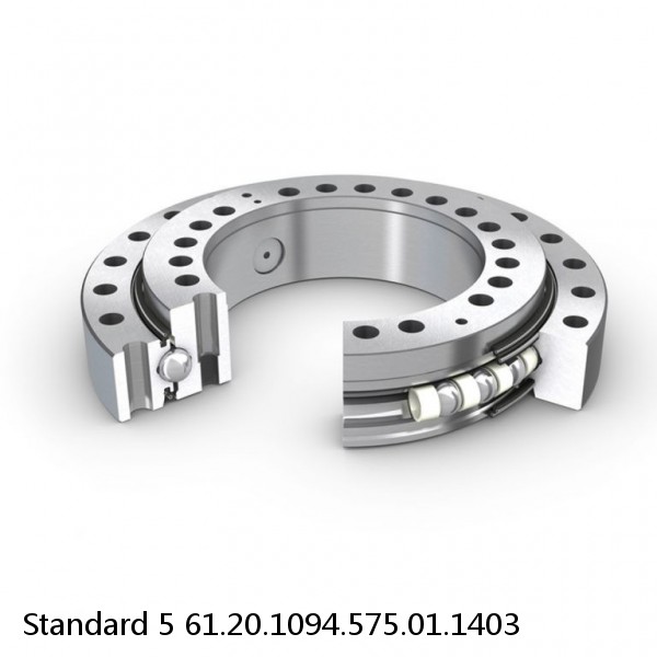 61.20.1094.575.01.1403 Standard 5 Slewing Ring Bearings