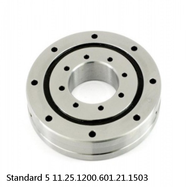 11.25.1200.601.21.1503 Standard 5 Slewing Ring Bearings