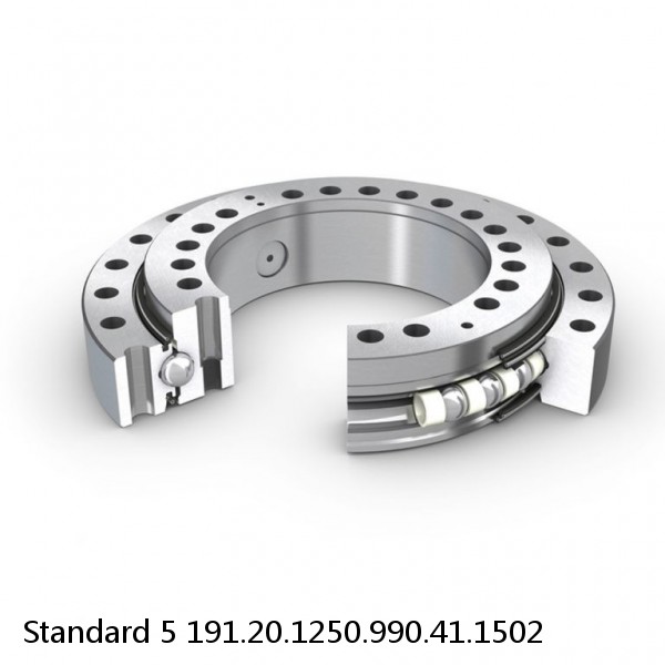 191.20.1250.990.41.1502 Standard 5 Slewing Ring Bearings