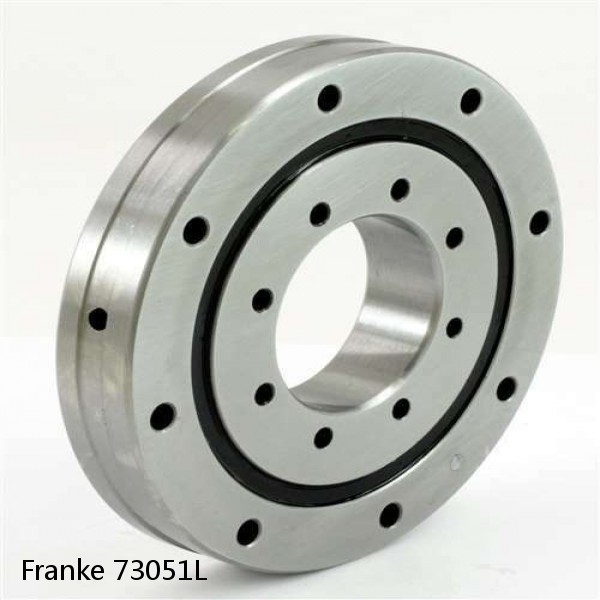 73051L Franke Slewing Ring Bearings