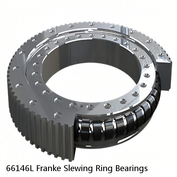 66146L Franke Slewing Ring Bearings