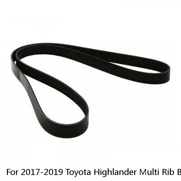 For 2017-2019 Toyota Highlander Multi Rib Belt Dayco 41667FS 2018