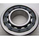 300 mm x 420 mm x 118 mm  SKF NNCF4960CV cylindrical roller bearings