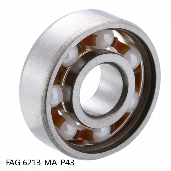 6213-MA-P43 FAG high precision bearings