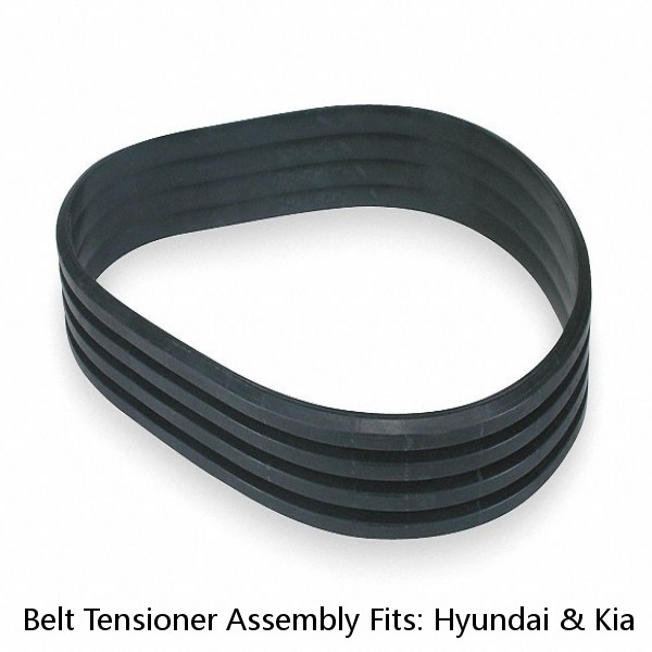 Belt Tensioner Assembly Fits: Hyundai & Kia  V6  3.3L 3.5L 3.8L