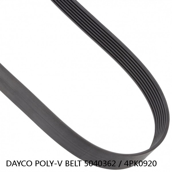 DAYCO POLY-V BELT 5040362 / 4PK0920