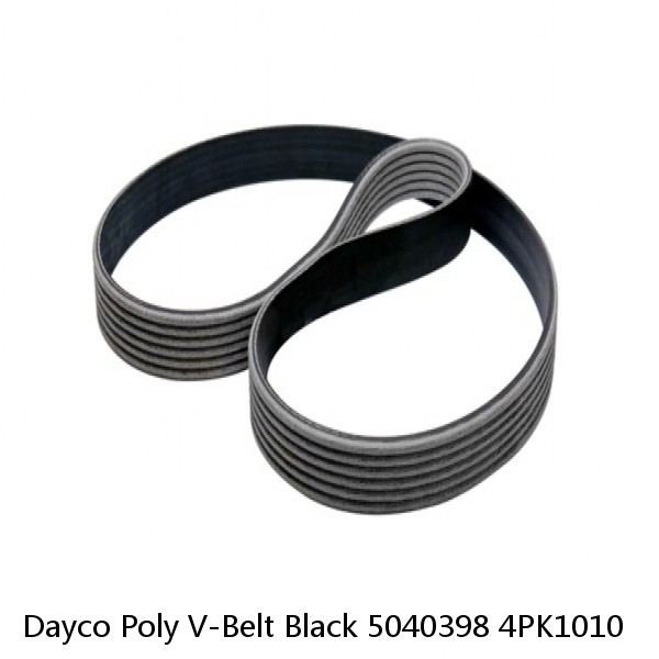 Dayco Poly V-Belt Black 5040398 4PK1010