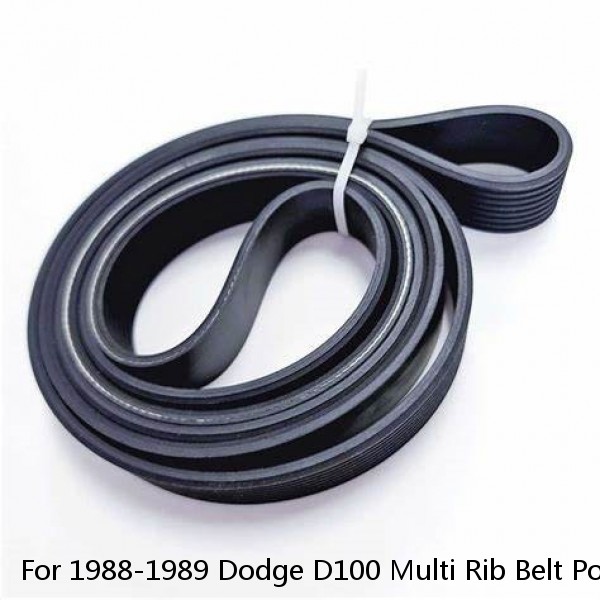 For 1988-1989 Dodge D100 Multi Rib Belt Power Steering 42695CM